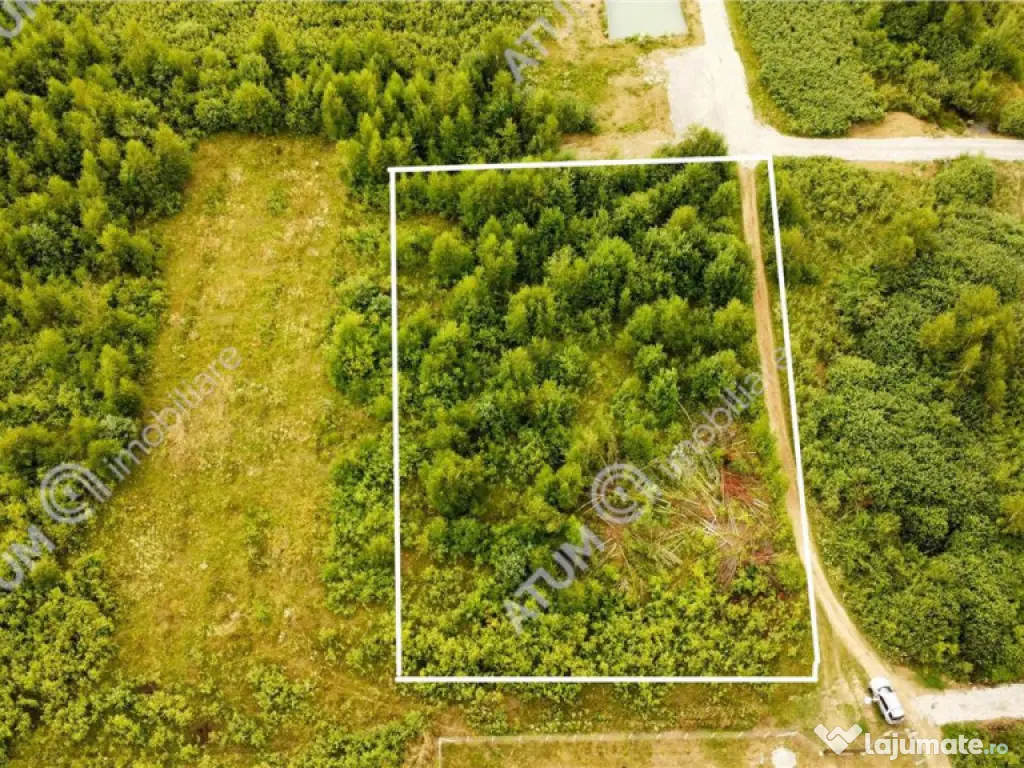 Teren intravilan 3900 mp Porumbacu de Sus, Sibiu 