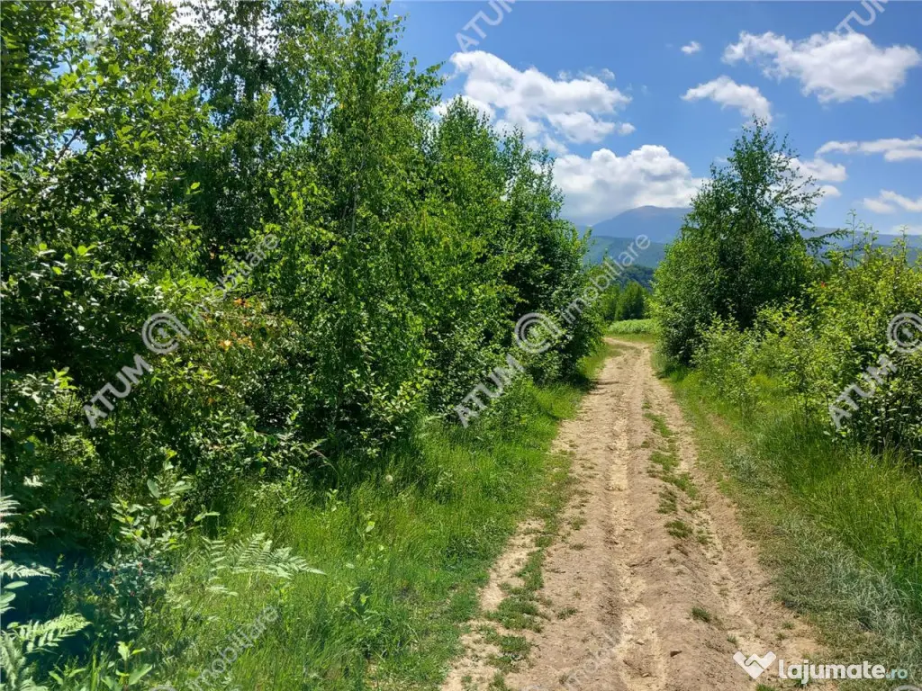 Teren intravilan 3900 mp Porumbacu de Sus, Sibiu 