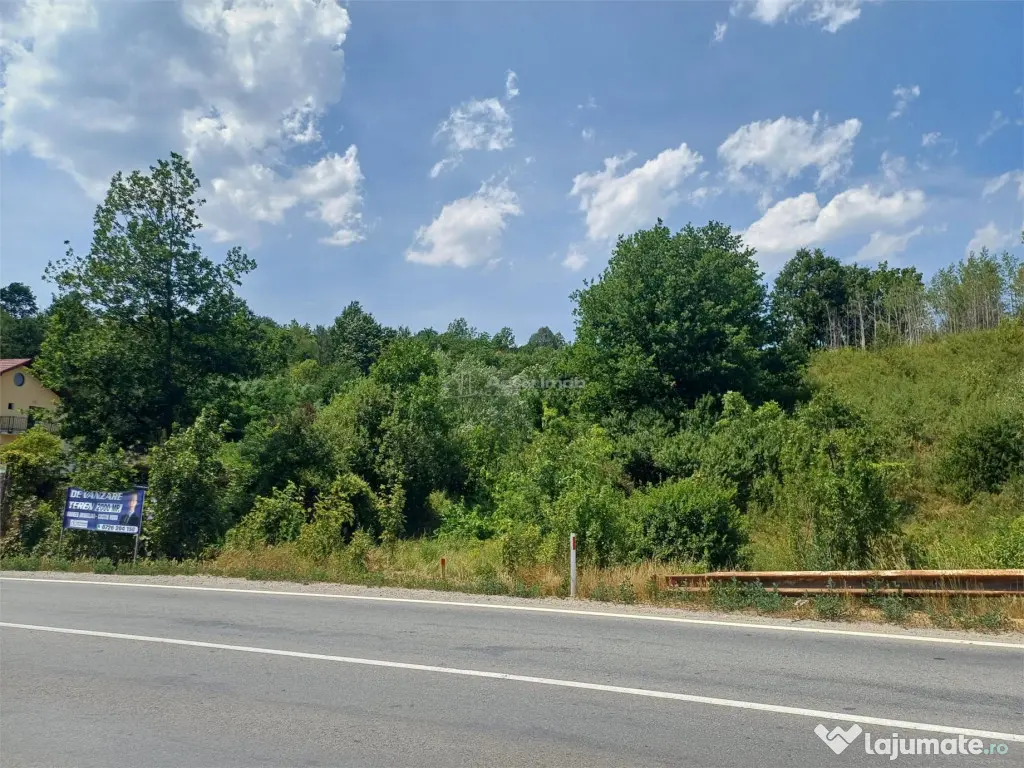 Resita, Terenuri Intravilane 2000 Mp., 28 Euro/Mp., Calea Ca 
