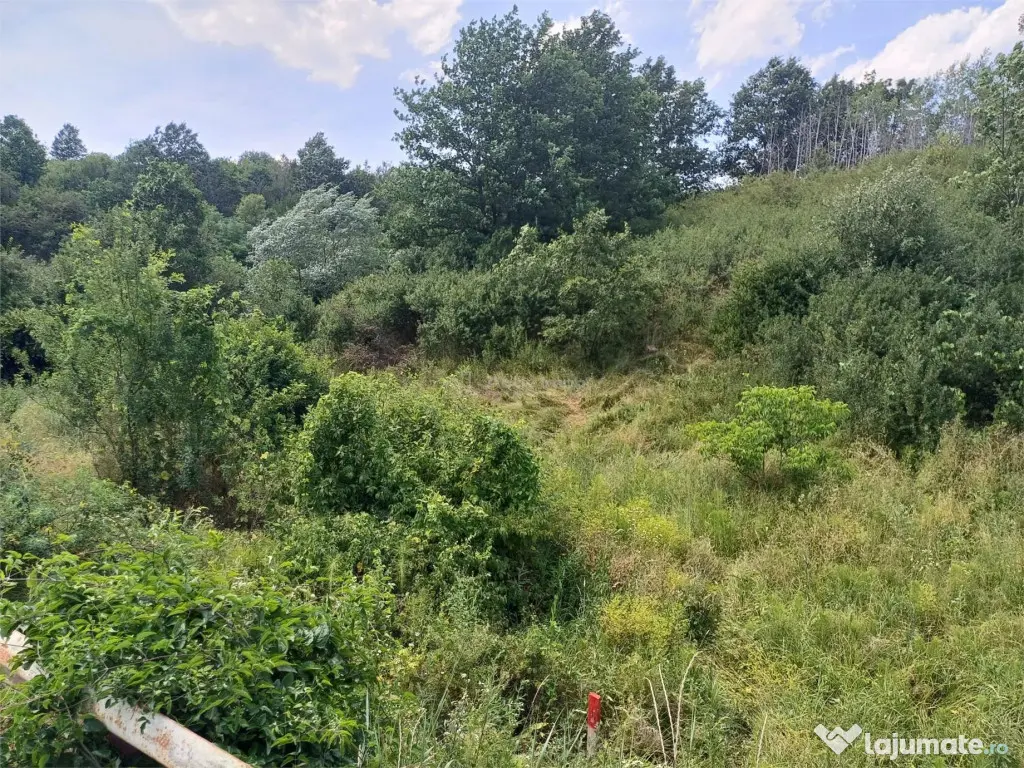 Resita, Terenuri Intravilane 2000 Mp., 28 Euro/Mp., Calea Ca 