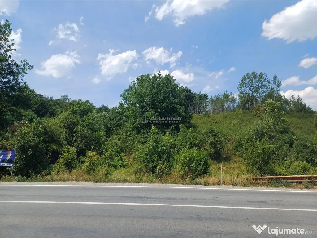 Resita, Terenuri Intravilane 2000 Mp., 28 Euro/Mp., Calea Ca 