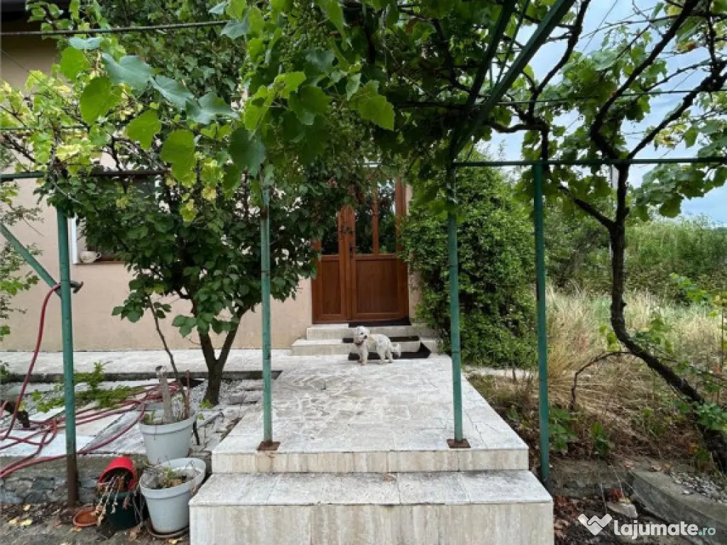 LAKESIDE HOME - Paleu