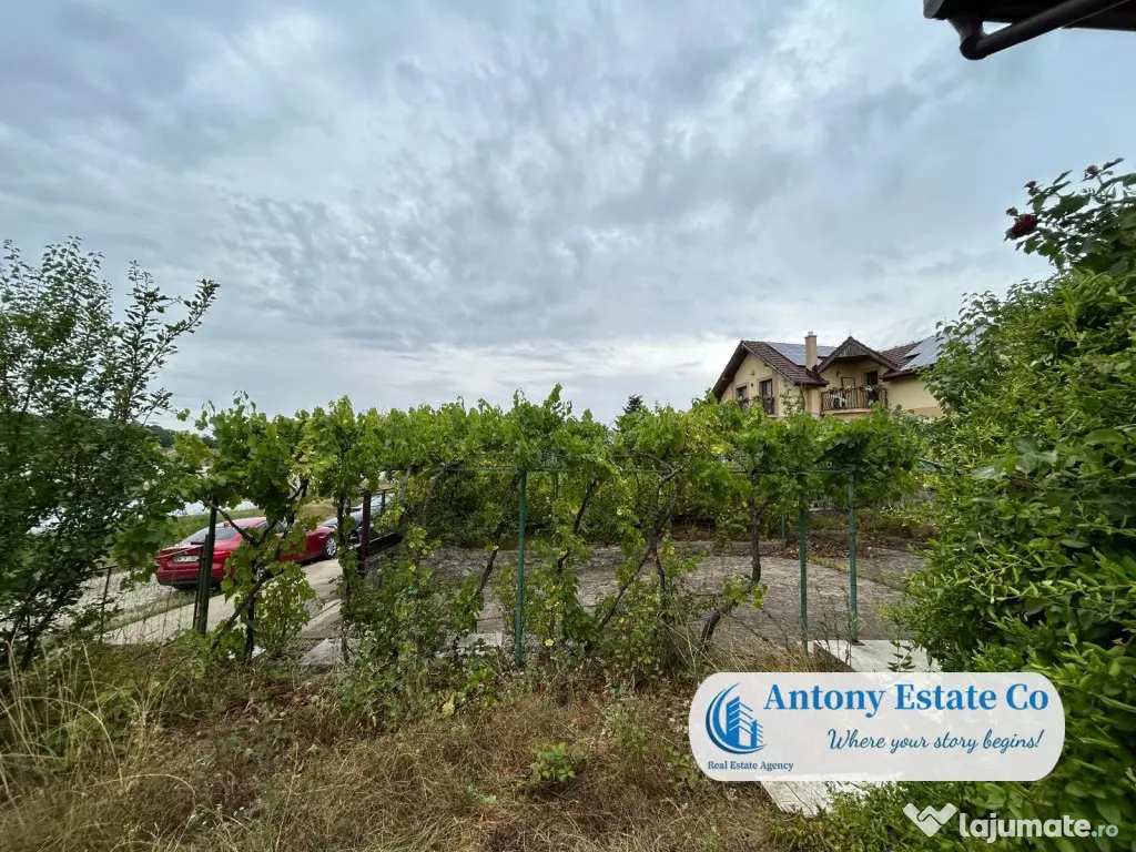 LAKESIDE HOME - Paleu