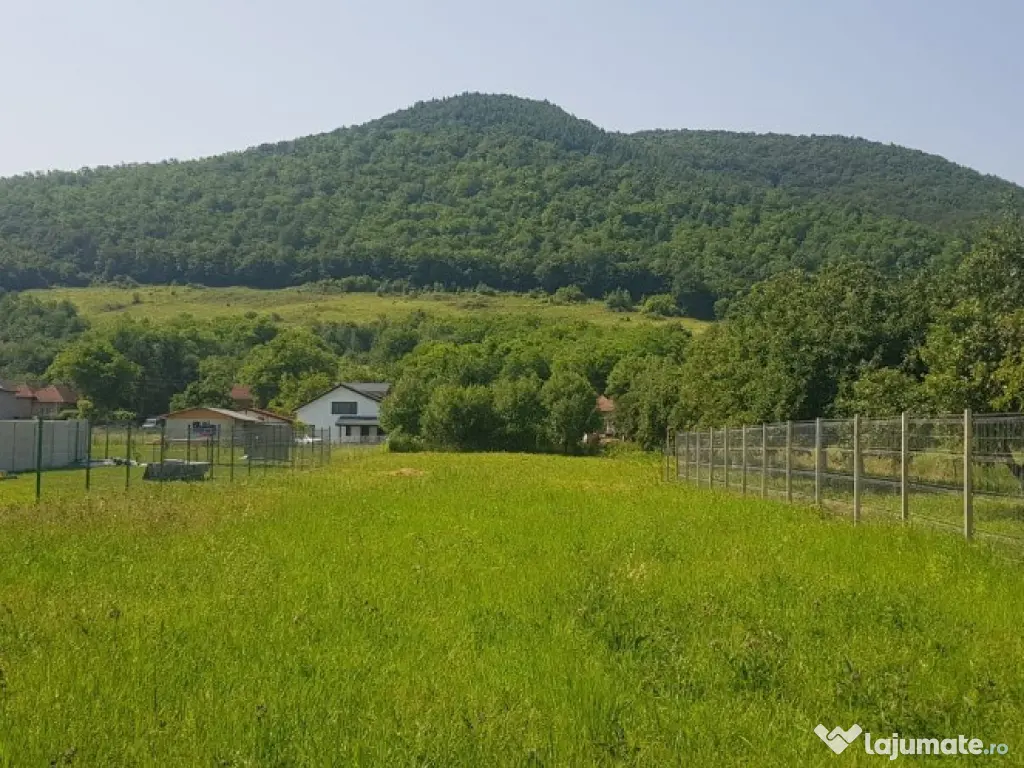 Teren intravilan, zona Vetel