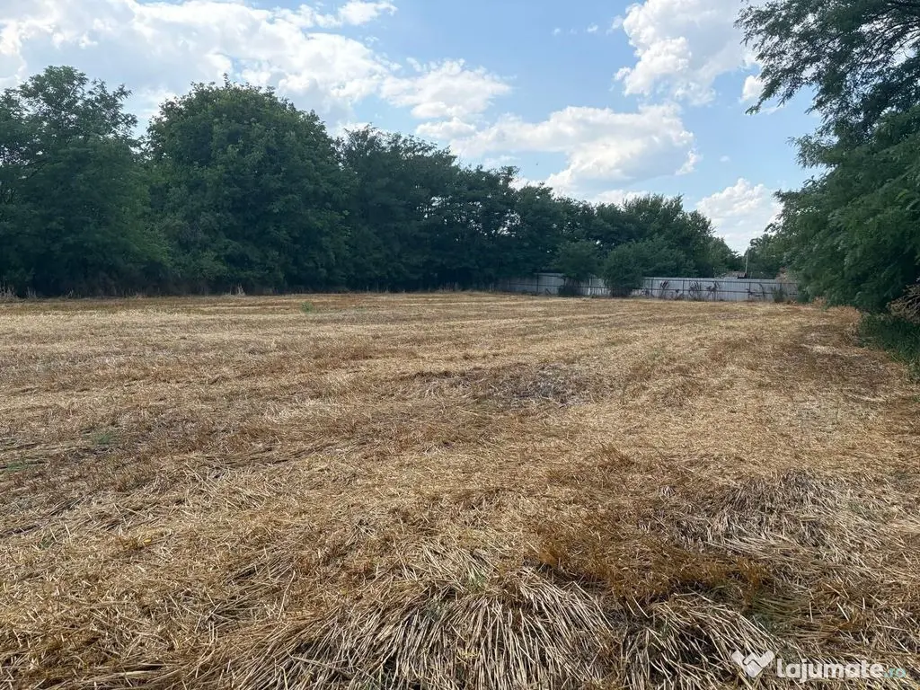 Teren intravilan 2580 mp - Hagiesti