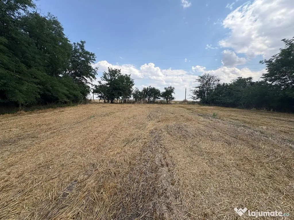 Teren intravilan 2580 mp - Hagiesti