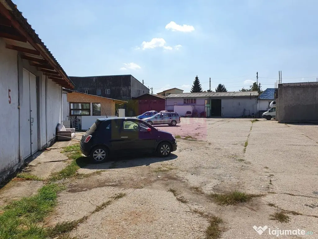 Spațiu de depozitare /productie – Sector 5, Viilor / S... 