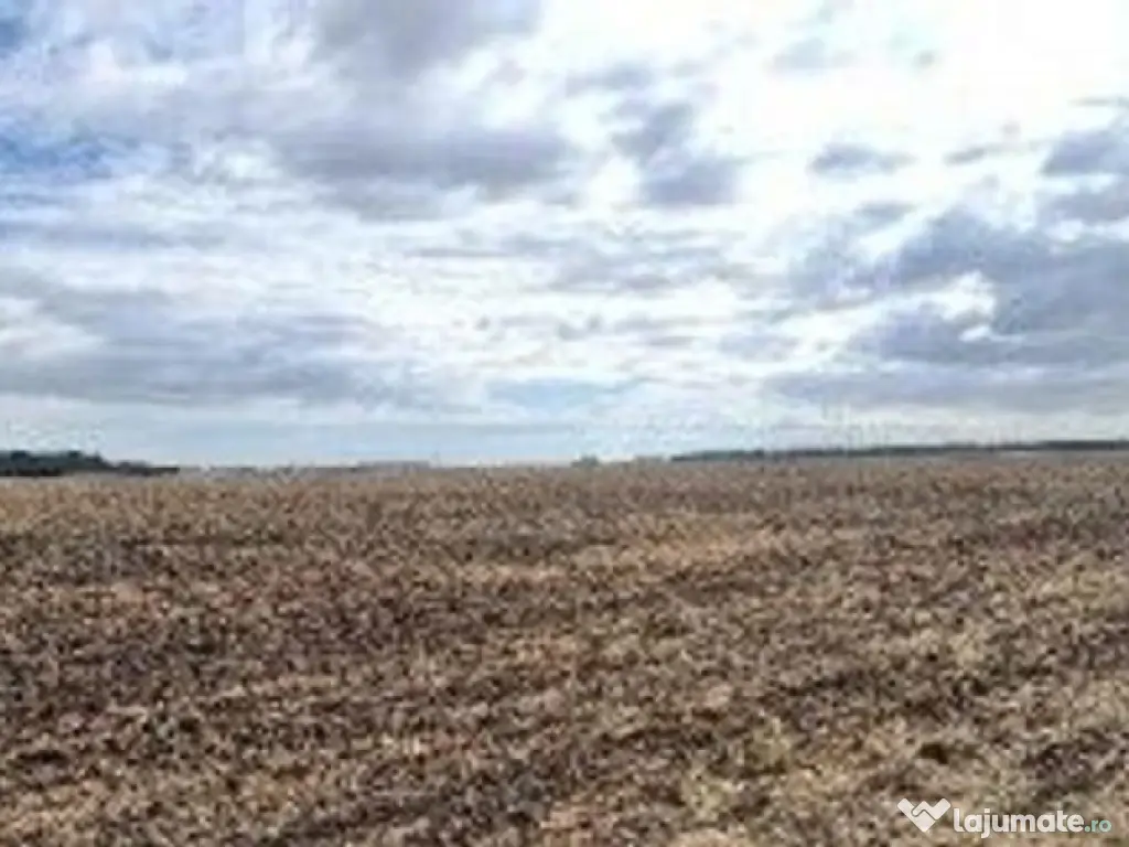 Teren extravilan Branesti, ID: R2649181 