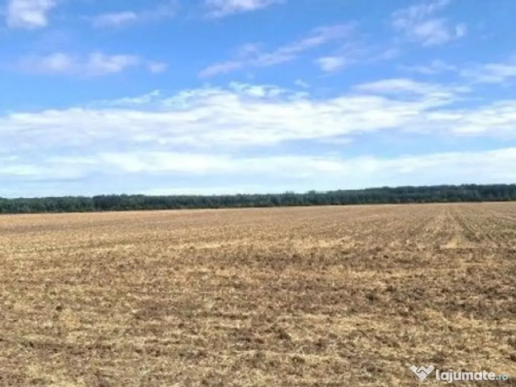 Teren extravilan Branesti, ID: R2649181 