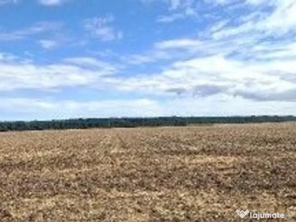 Teren extravilan Branesti, ID: R2649181 