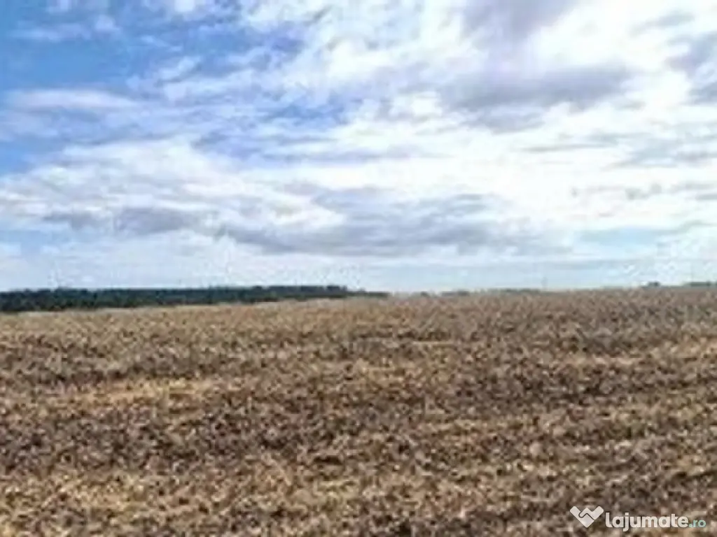 Teren extravilan Branesti, ID: R2649181 