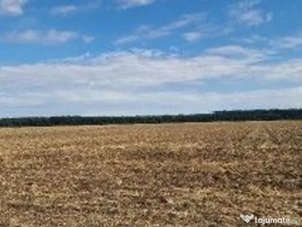 Teren extravilan Branesti, ID: R2649181 