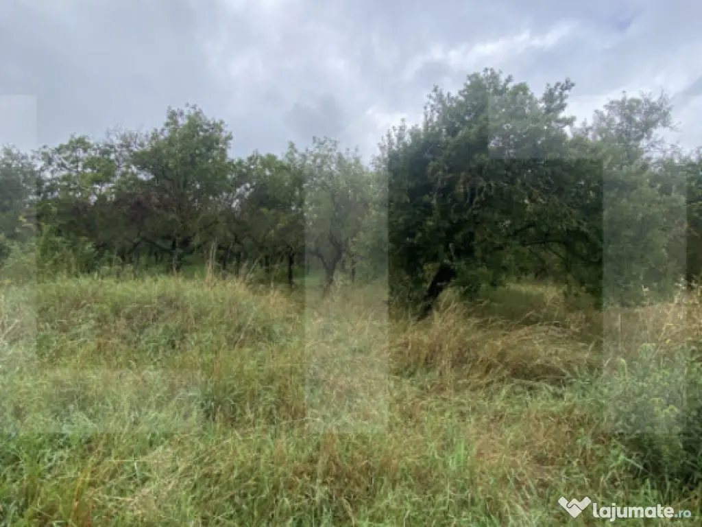 Teren cu potențial rezidențial – Simeria, Sfântu Gheorg