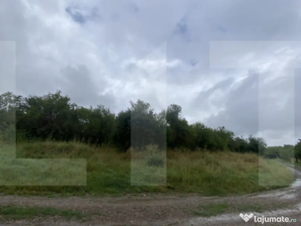 Teren cu potențial rezidențial – Simeria, Sfântu Gheorg