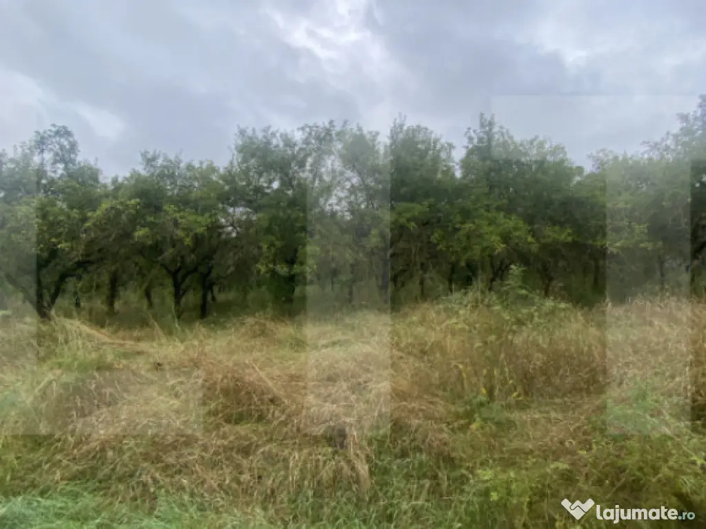 Teren cu potențial rezidențial – Simeria, Sfântu Gheorg