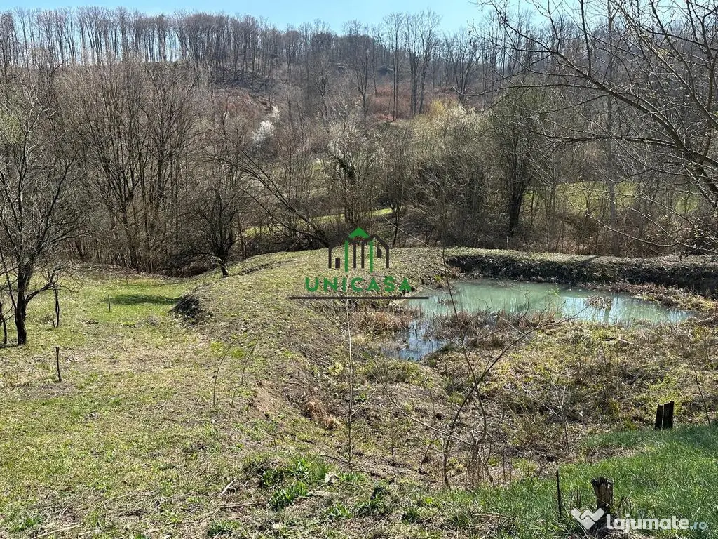 Teren Govora / 8131mp 