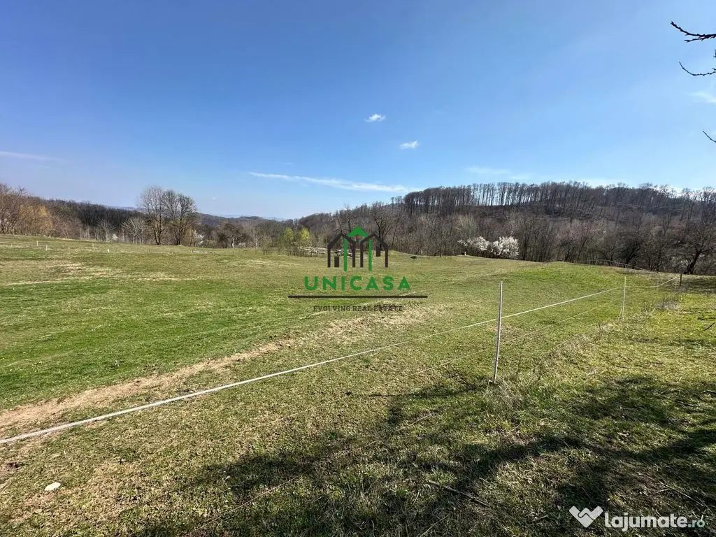 Teren Govora / 8131mp 