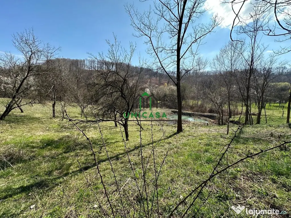 Teren Govora / 8131mp 