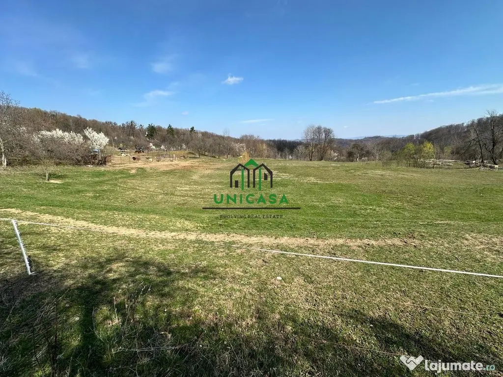 Teren Govora / 8131mp 