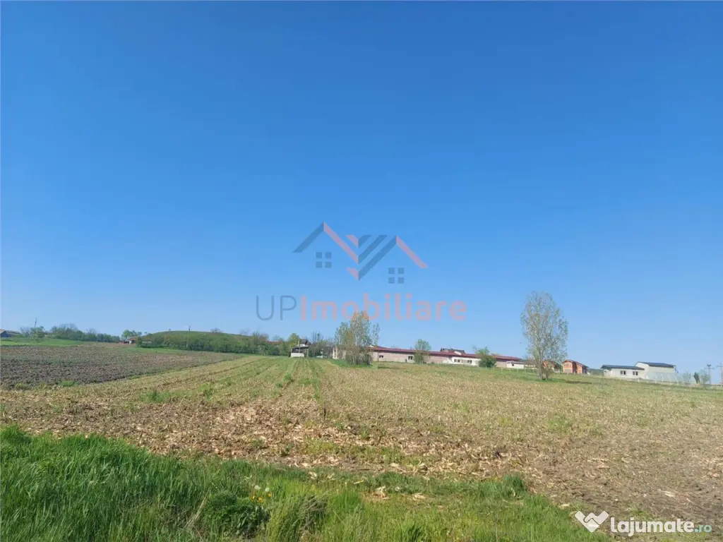 TEREN INTRAVILAN | 4300 MP | HIDISELUL DE SUS | BIHOR 