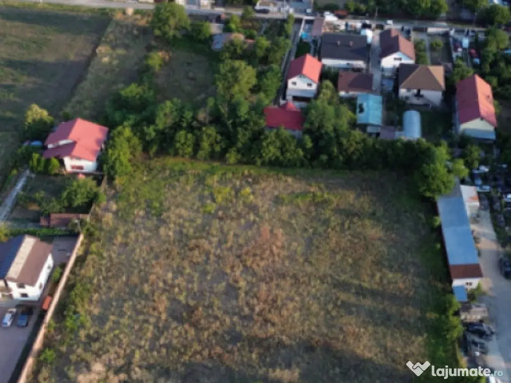 Teren intravilan -2679 mp-Branesti / Islaz 