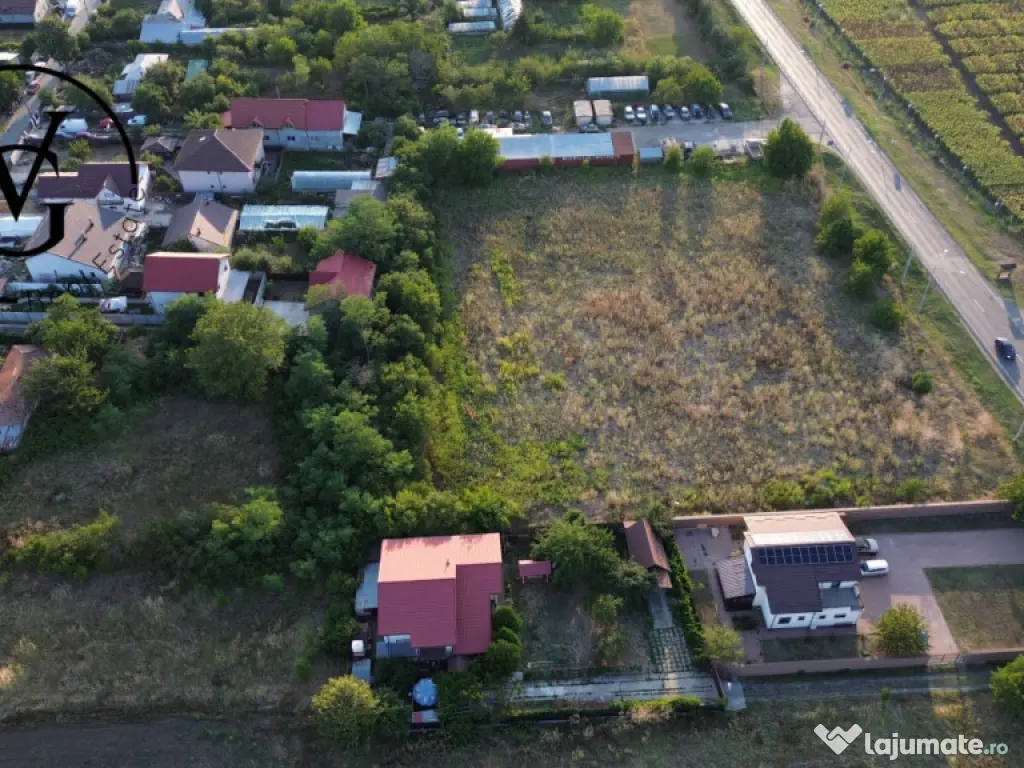 Teren intravilan -2679 mp-Branesti / Islaz 