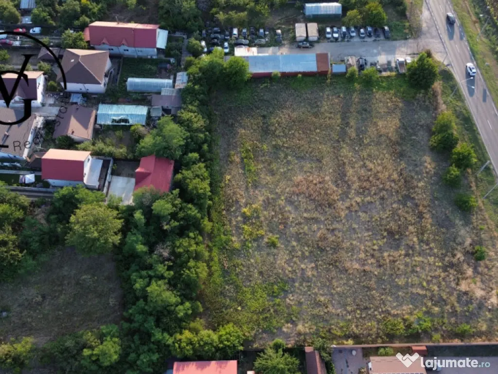 Teren intravilan -2679 mp-Branesti / Islaz 