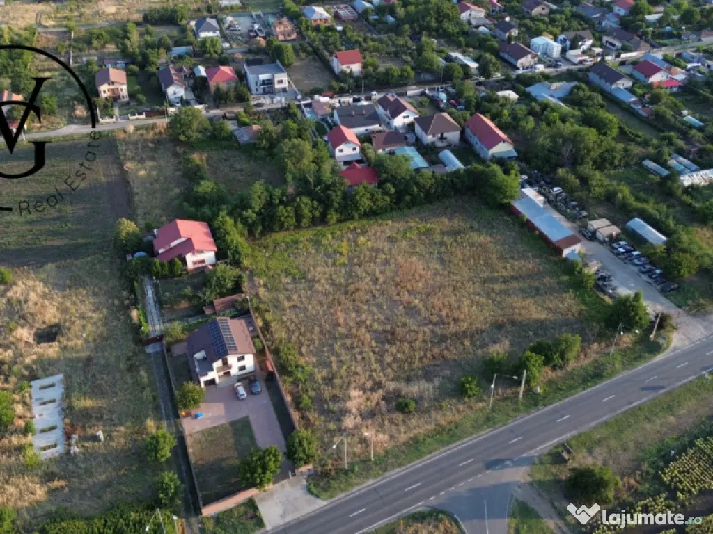 Teren intravilan -2679 mp-Branesti / Islaz 