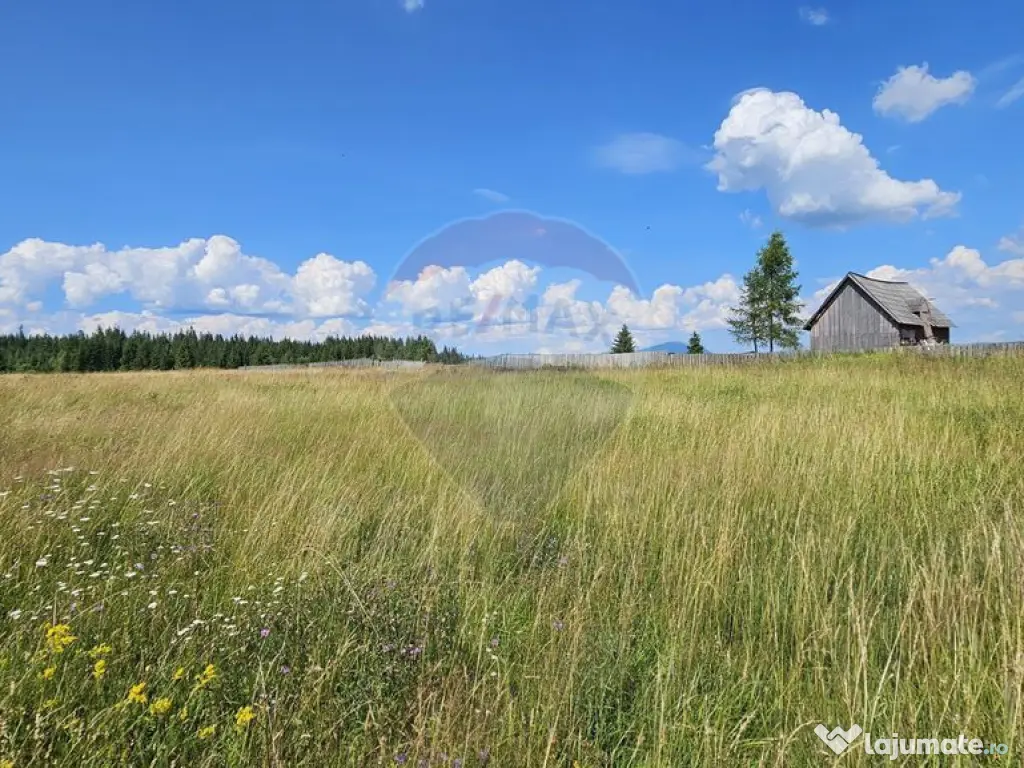 Teren parțial intravilan 30,930 mp Poiana Stampei-DN E58... 