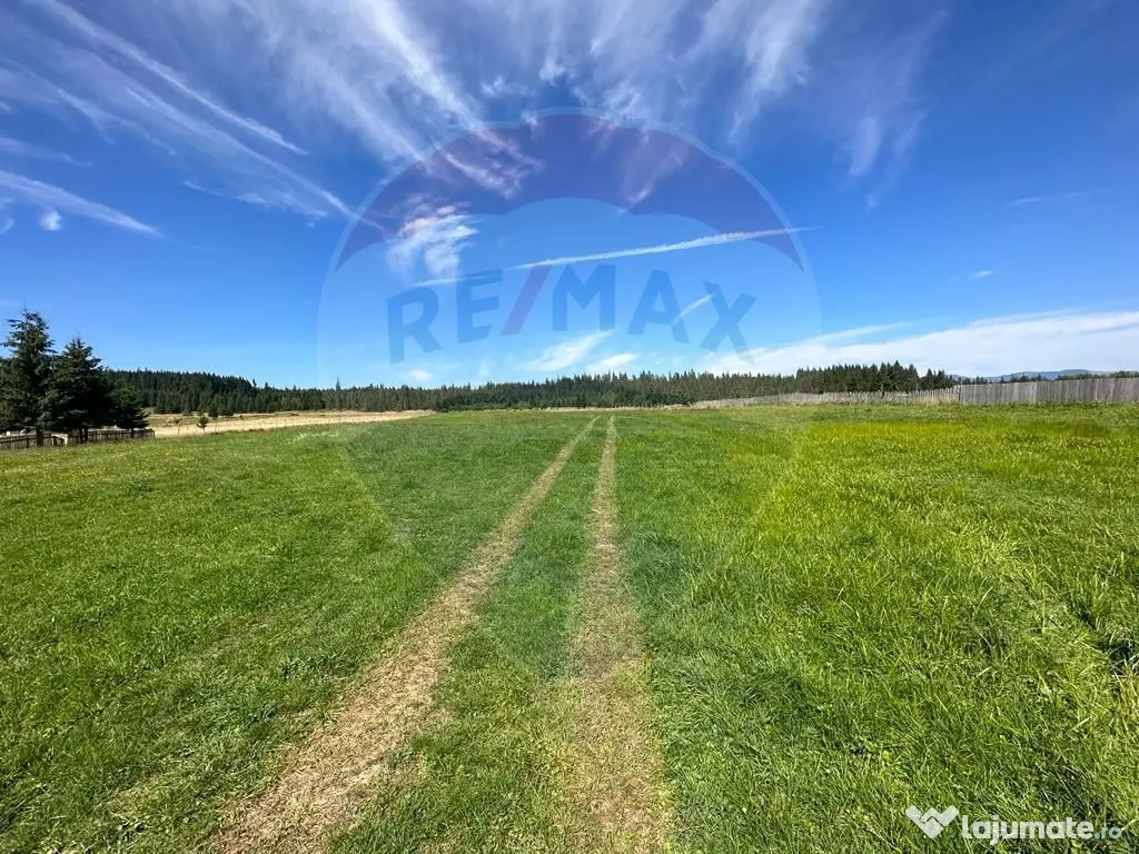 Teren parțial intravilan 30,930 mp Poiana Stampei-DN E58... 