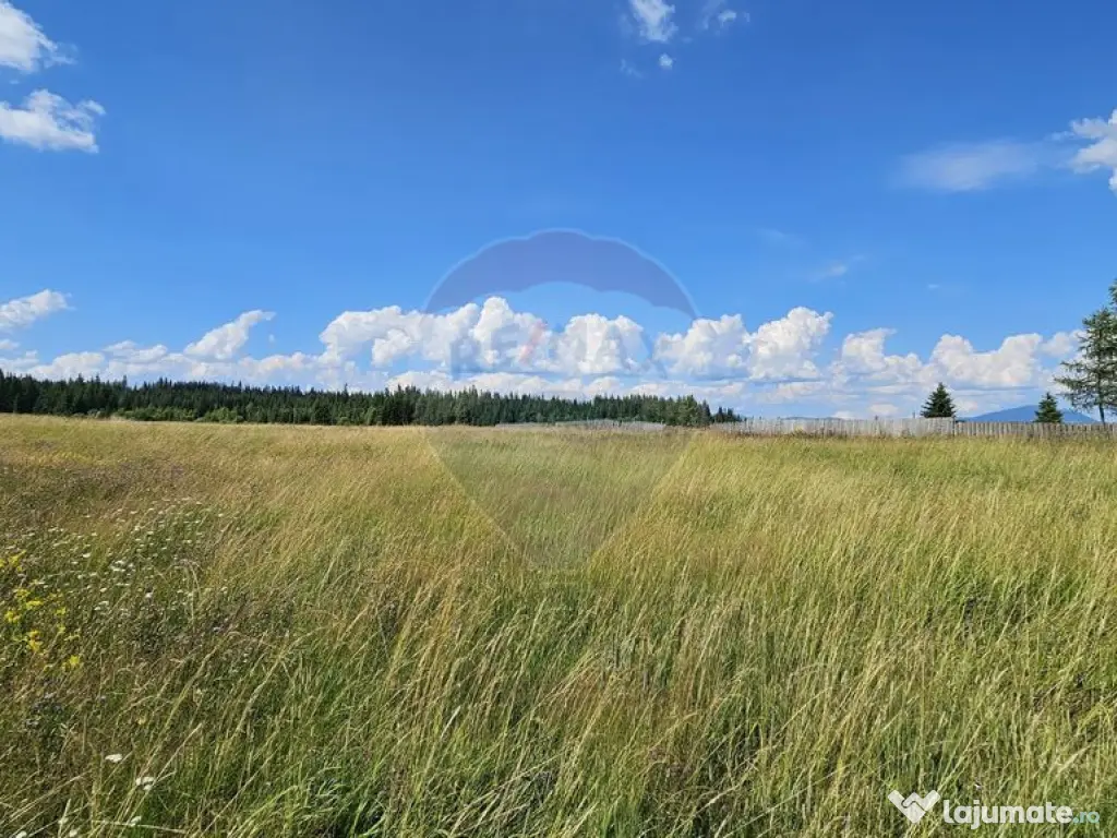 Teren parțial intravilan 30,930 mp Poiana Stampei-DN E58... 