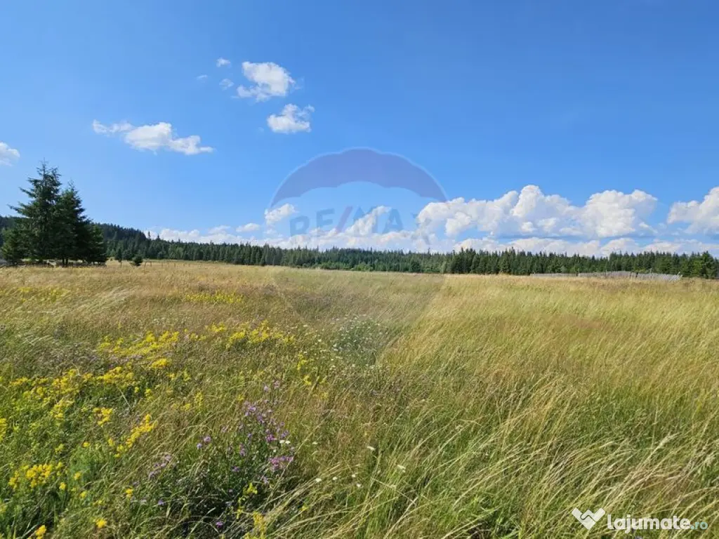 Teren parțial intravilan 30,930 mp Poiana Stampei-DN E58... 