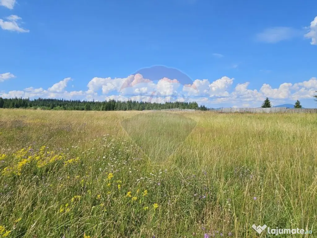 Teren parțial intravilan 30,930 mp Poiana Stampei-DN E58... 