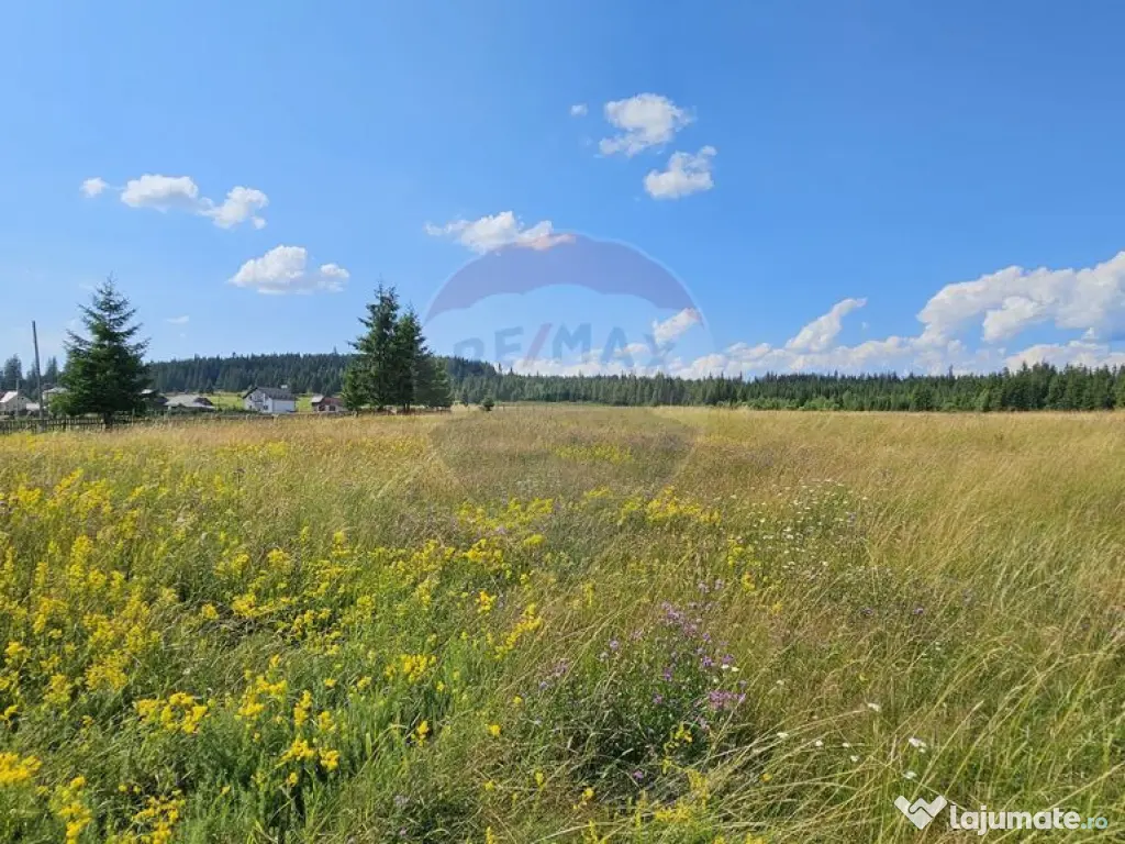 Teren parțial intravilan 30,930 mp Poiana Stampei-DN E58... 