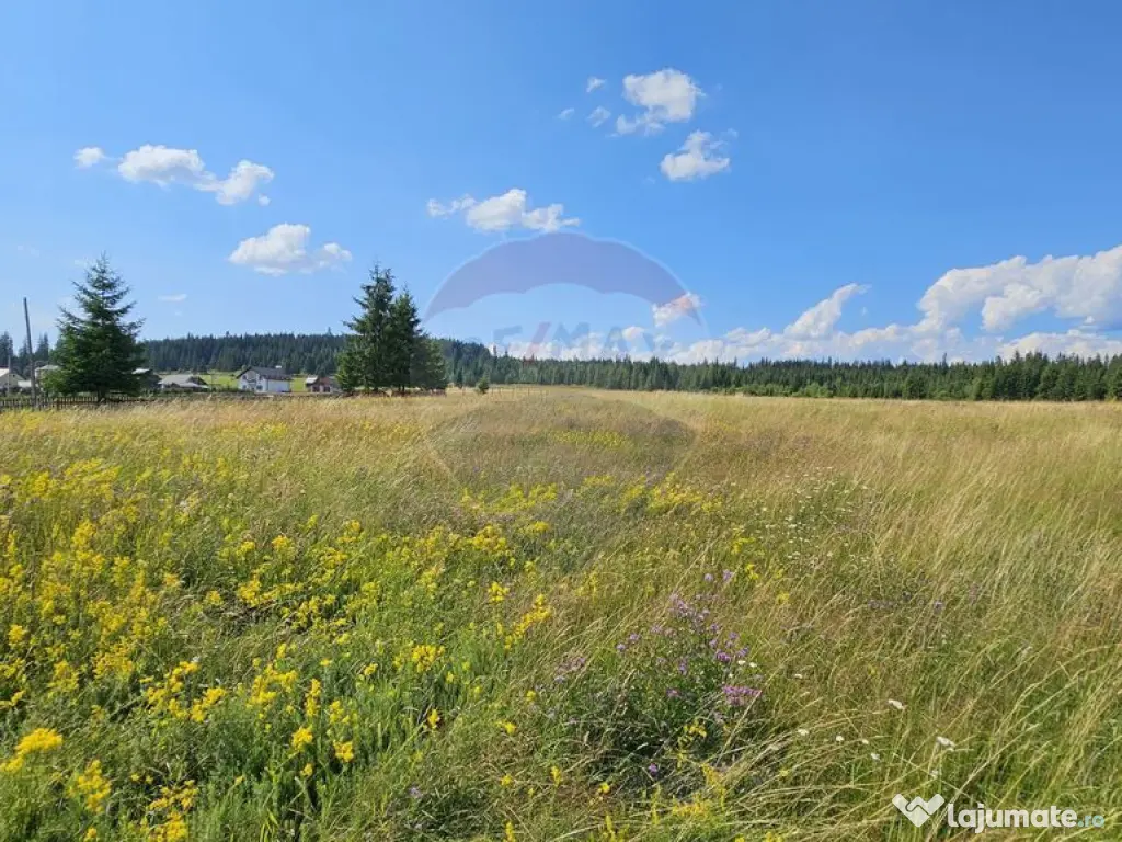 Teren parțial intravilan 30,930 mp Poiana Stampei-DN E58... 