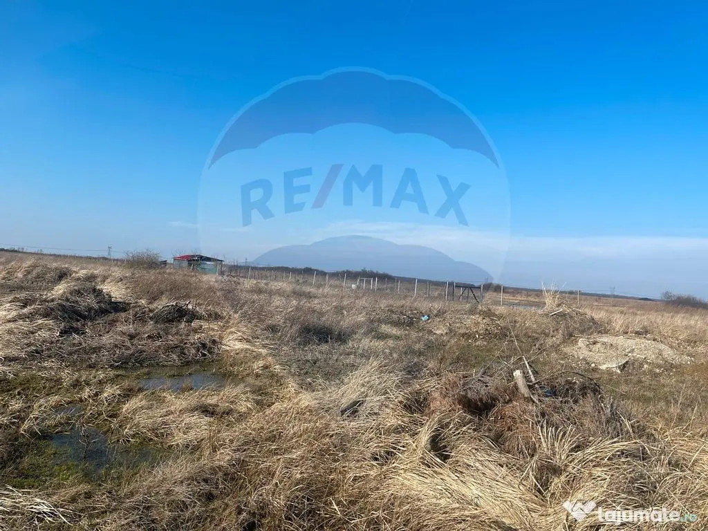 Teren Cihei / 1.632mp/ lângă Fundația Neșu