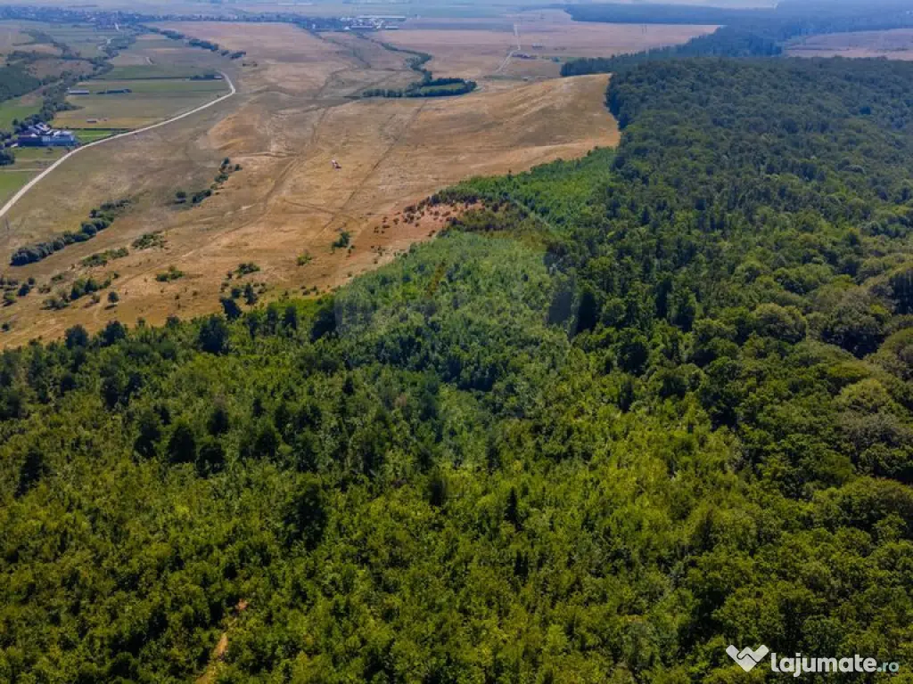 Teren 6,000mp Crizbav / Strada principala 