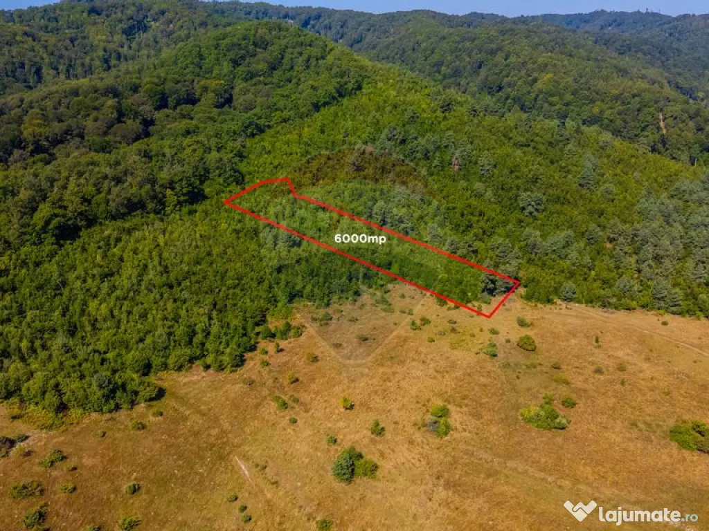 Teren 6,000mp Crizbav / Strada principala 