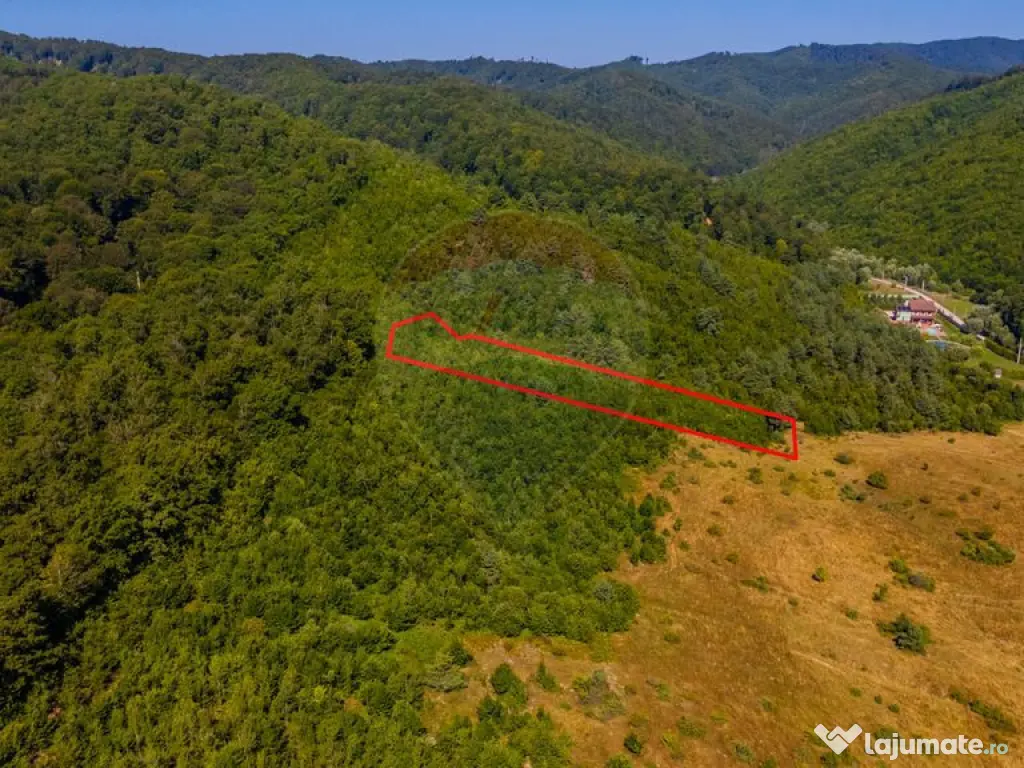 Teren 6,000mp Crizbav / Strada principala 