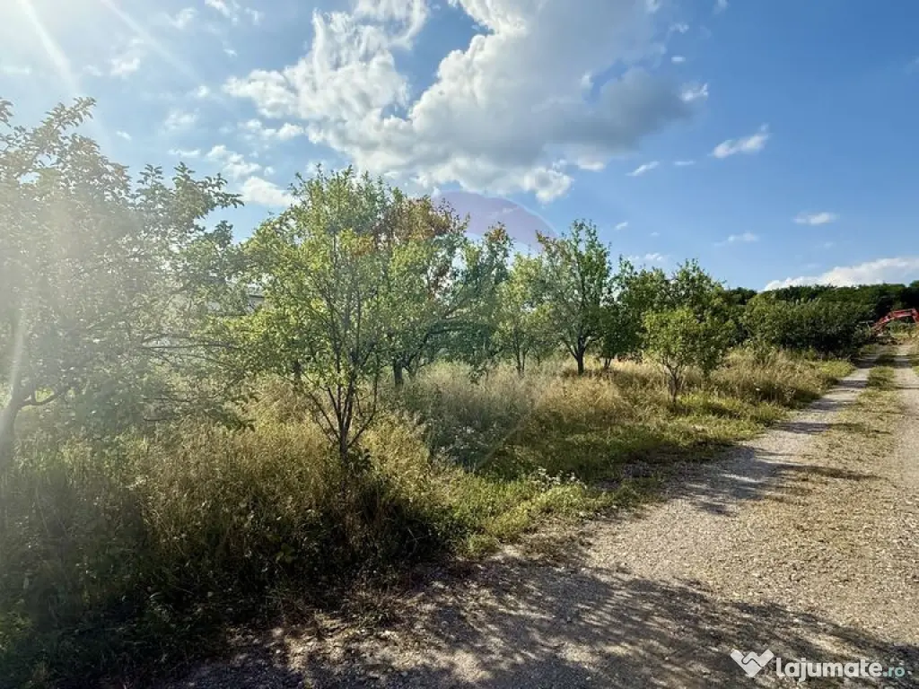 Teren Tautii-Magheraus 