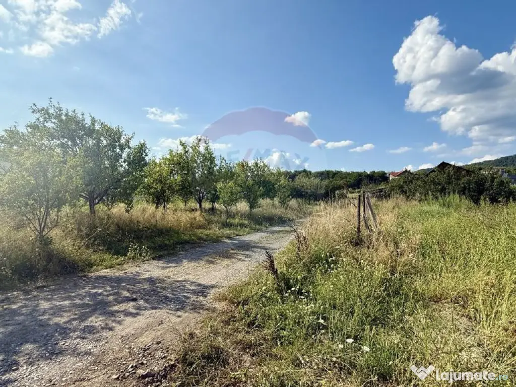 Teren Tautii-Magheraus 