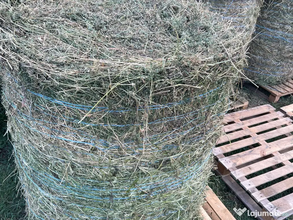 Baloti lucerna in Botosani infoliati (semifân) și fan eco 