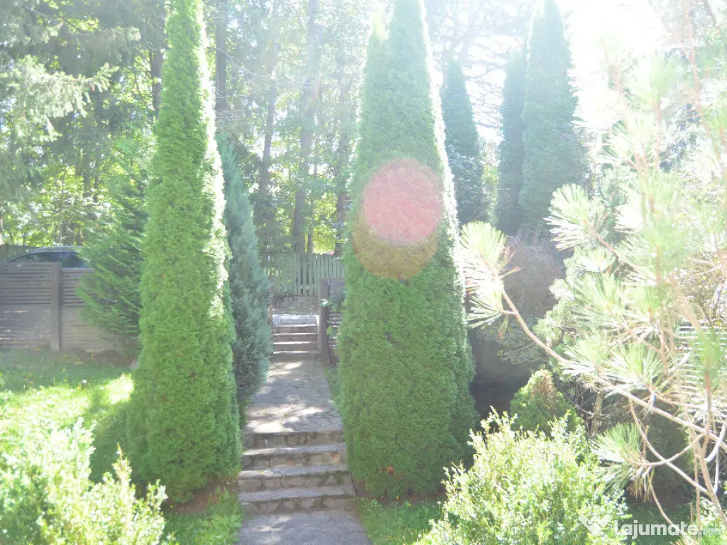 Vila de vacanta situata in Predeal-Cioplea 