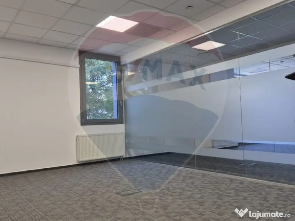 Spațiu birouri 200 - 2000 mp Sala Palatului - Cismigiu 