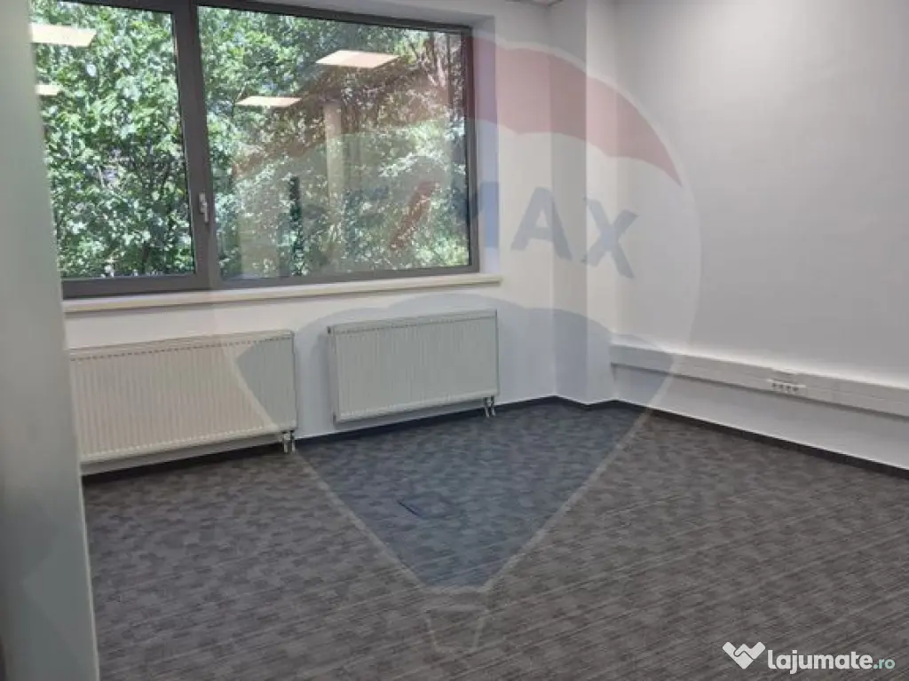 Spațiu birouri 200 - 2000 mp Sala Palatului - Cismigiu 