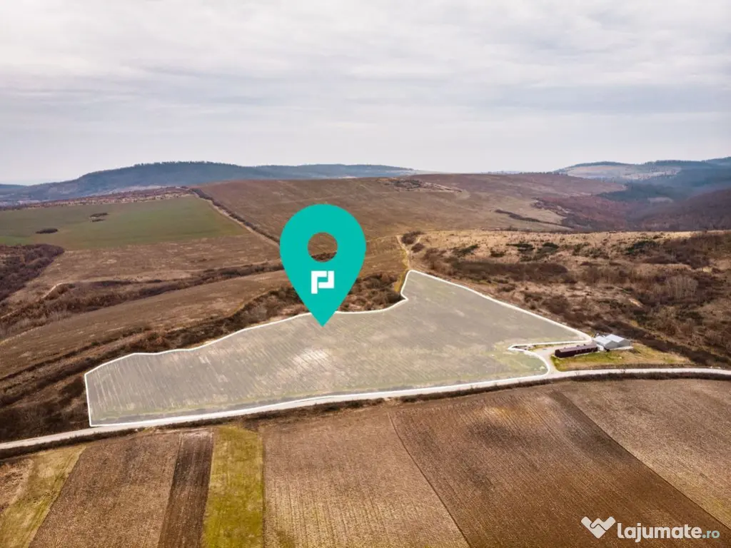 Vie de 115 Hectare în satul Dud, județul Arad 