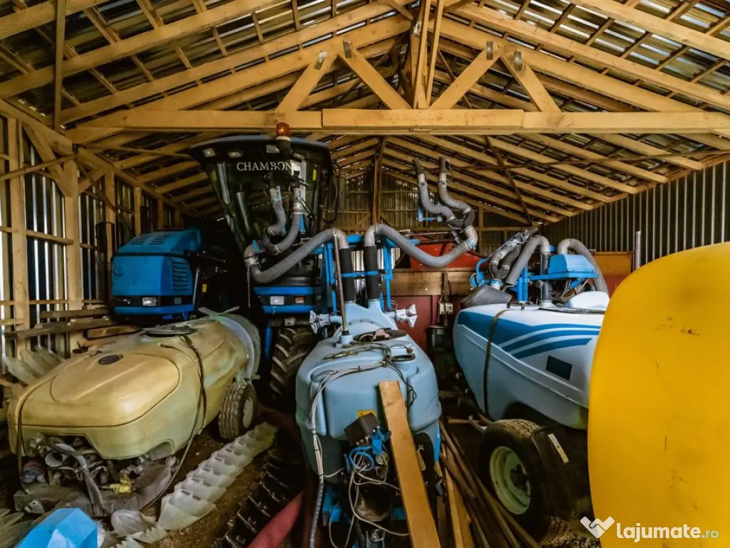 Vie de 115 Hectare în satul Dud, județul Arad 