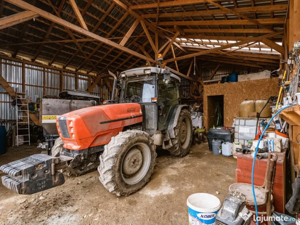 Vie de 115 Hectare în satul Dud, județul Arad 