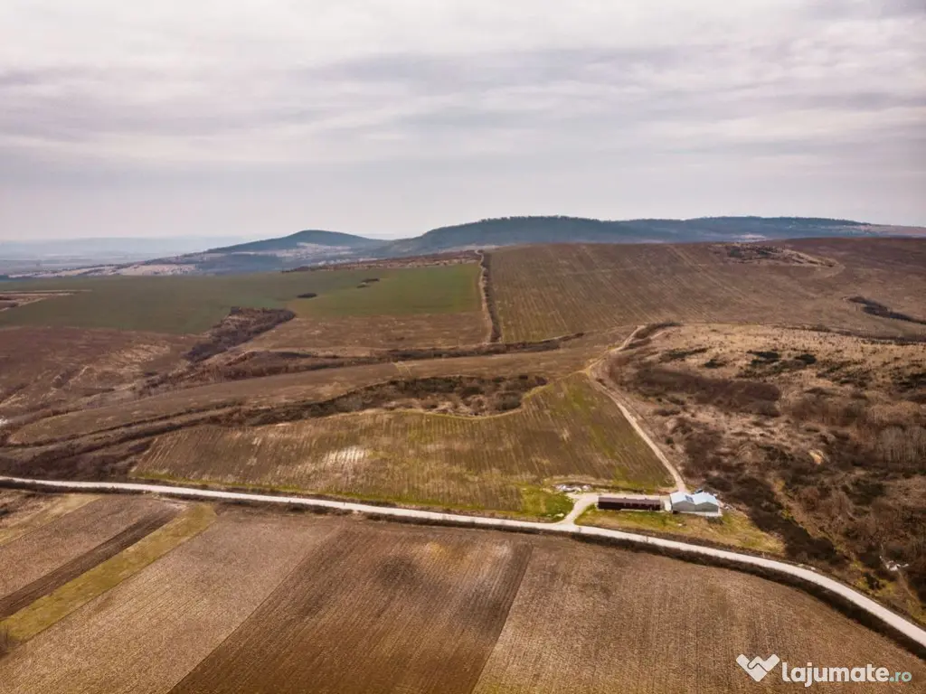 Vie de 115 Hectare în satul Dud, județul Arad 