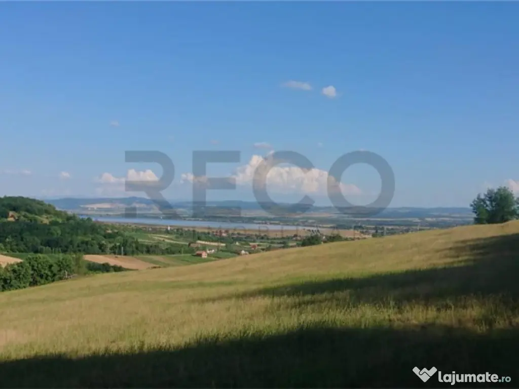 Reco Teren extravilan Tileagd 